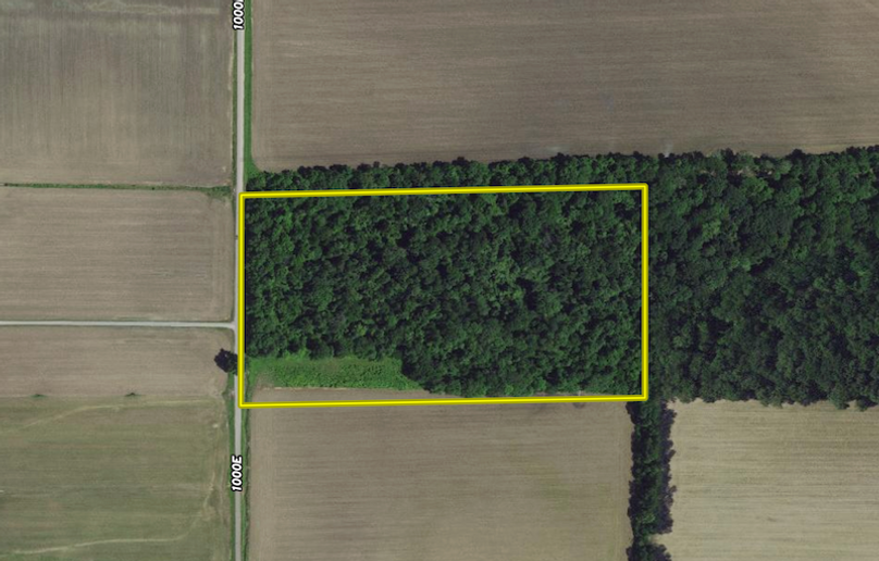 Screenshot 2024-03-04 at 2.26.14 PM