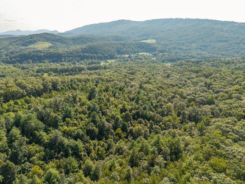 DJI_20250804172730_0008_D