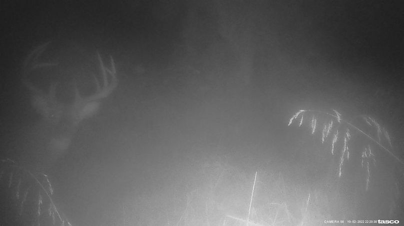 309567320_689731459412797_6334174400930015132_n