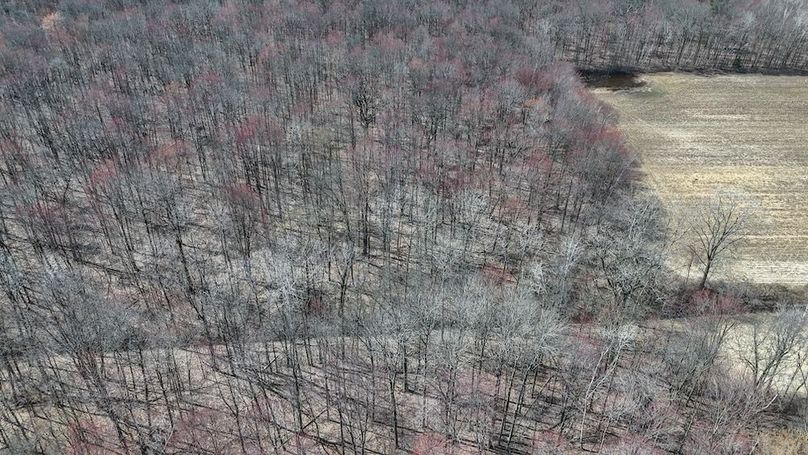 DJI_20250417143112_0110_D