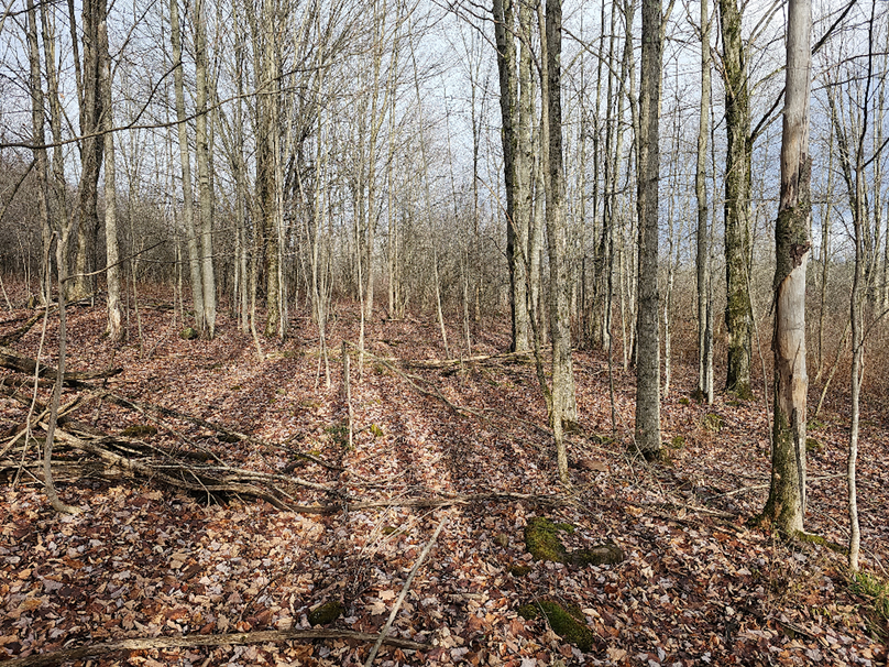 photo_20e25141-b8c6-4fd8-b576-d069395fa468