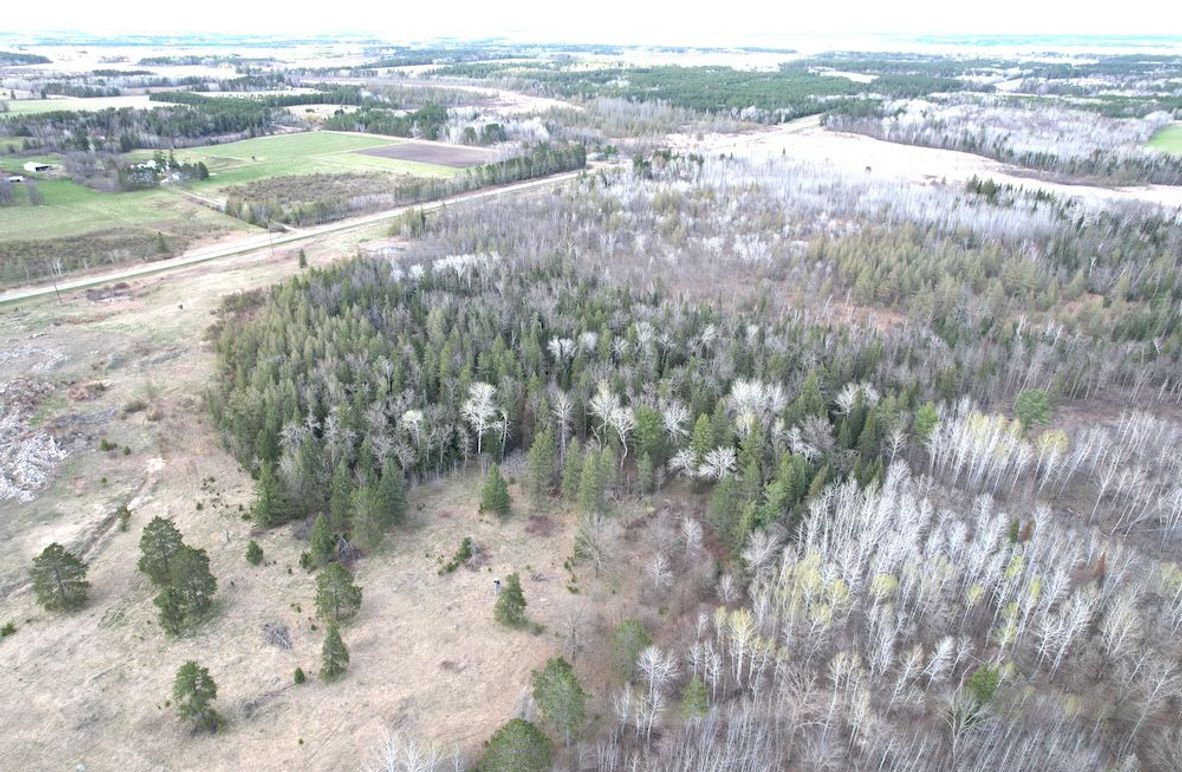 dji_fly_20260509_184702_283_1778370761713_photo