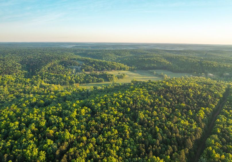 DJI_20250506064714_0135_D