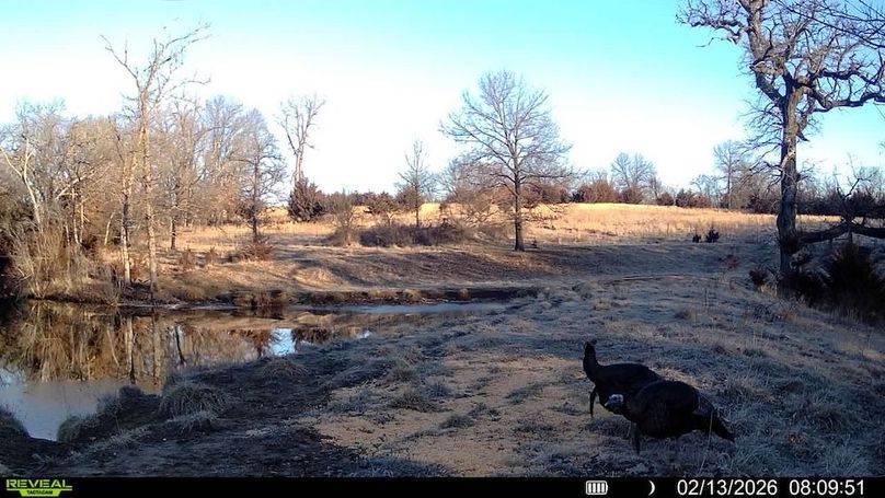 016687000201349-100-3-02132026080951-SYFW02069