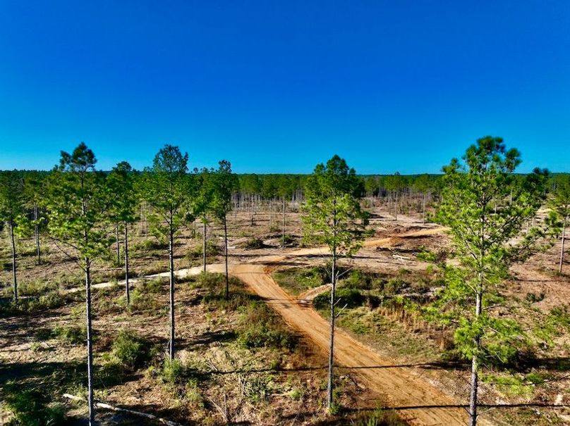 677D4874-9491-46E9-9190-FAD5D17DA78C_1_201_a