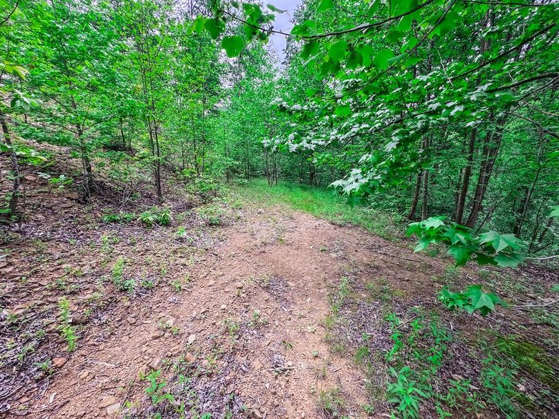 Clay, WV 14.839 AC-08