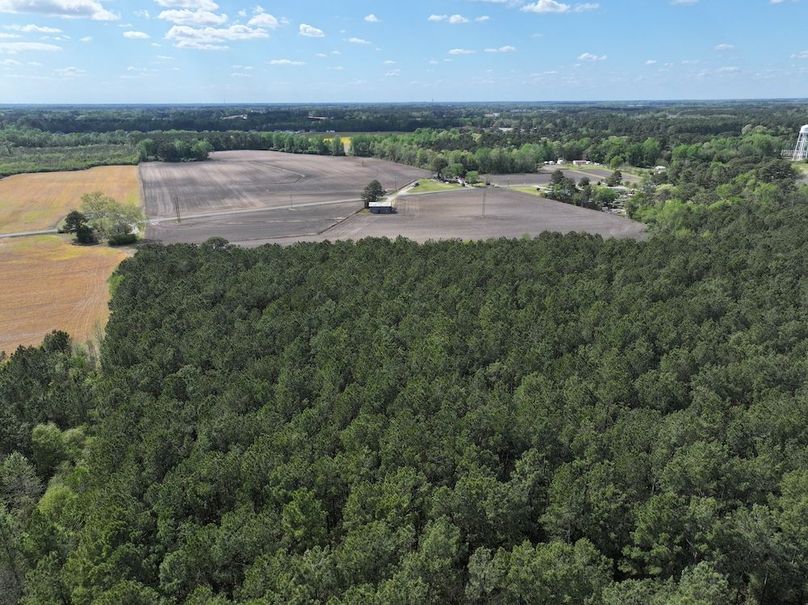 dji_fly_20260315_121134_0540_1775758655820_photo