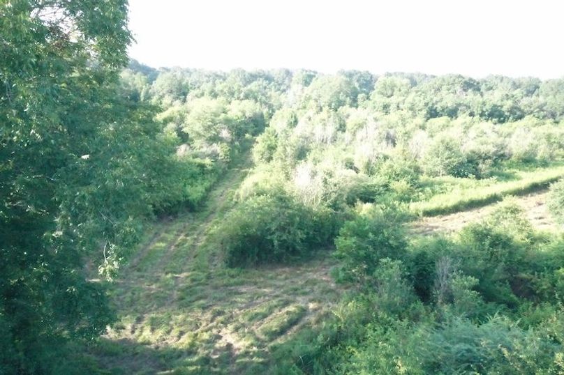 DJI_0627