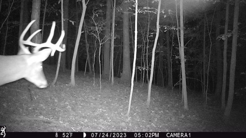 trail cam18