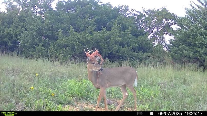 016578002025259-100-3-09072025192517-SYFW08626