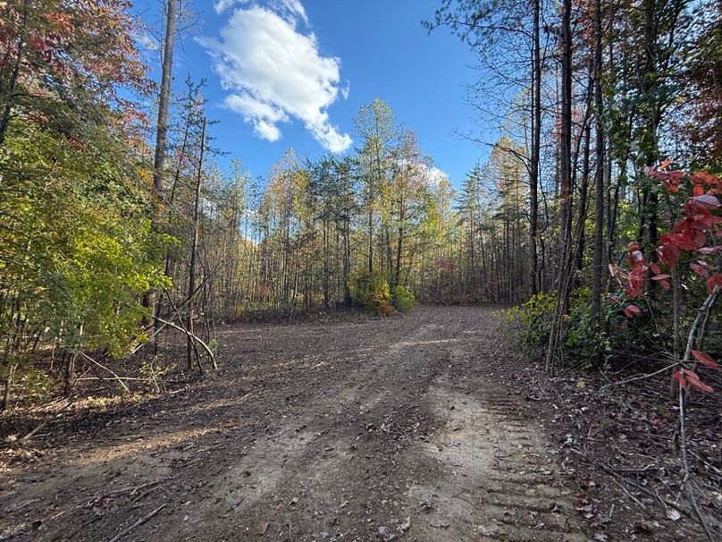 013 the open area for a cabin or RV viewed from another angle