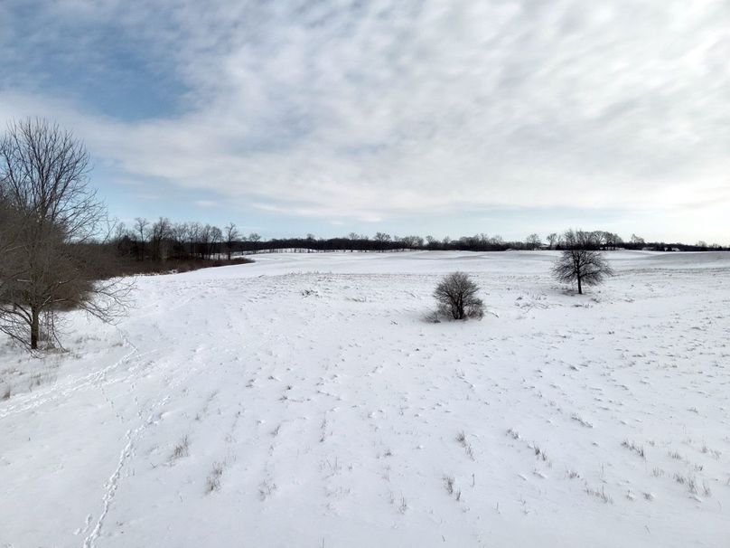 Copy of Tract 1 front field looking East to Onsted Hwy Large