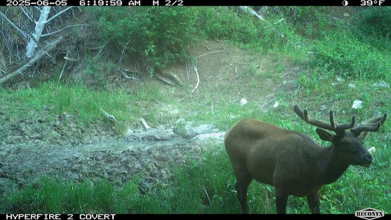 6E4EA5CA-6CE7-4753-9AC5-BC431F2DE936