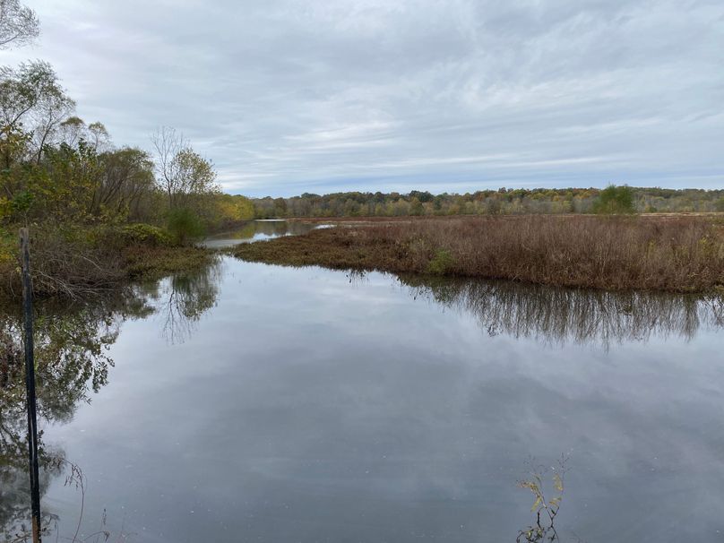 pics from late 2021 and early 2022. New plots being planted in Aug 2023 for new pics (40)