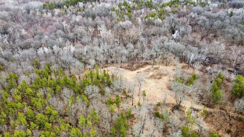 dji_fly_20250404_130230_742_1744067519250_photo_optimized 2