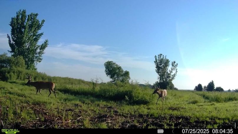 016579000262944-93-3-07252025080435-SYFW00951