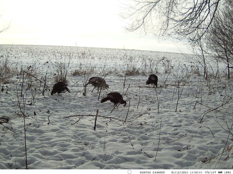 2024-1201-145845_000473