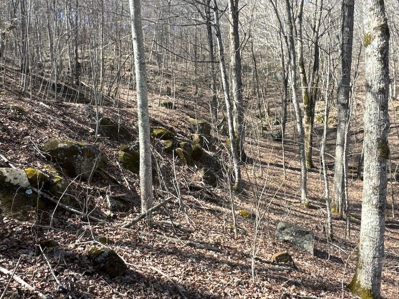 07 Property Picture