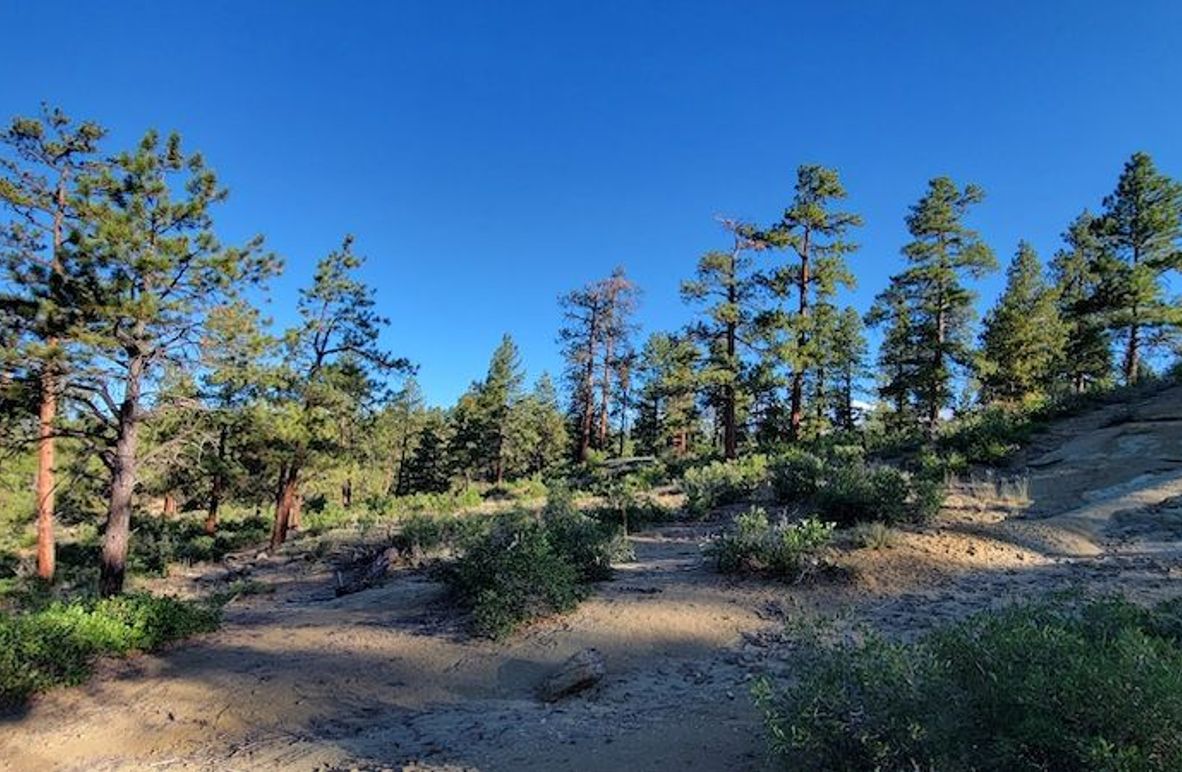 Copy of 20210827_080106