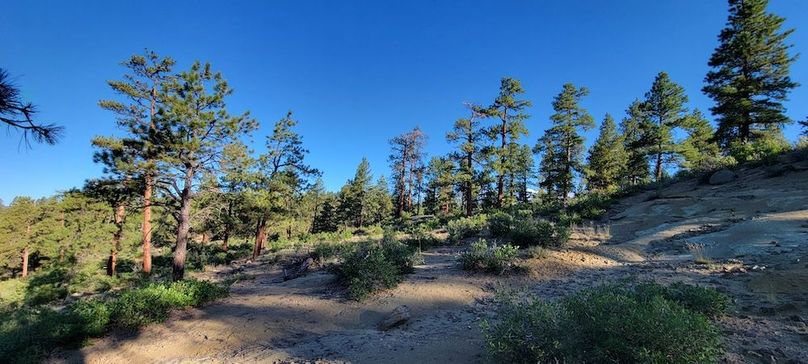 Copy of 20210827_080106