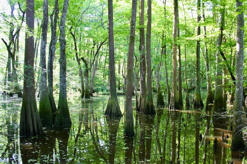 E75067E2-DB1B-4740-B11F-9C985A95BA8E_1_201_a