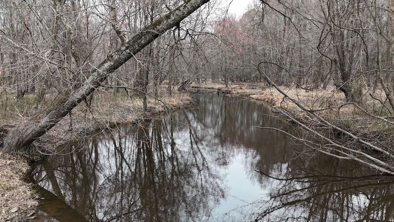 dji_fly_20260225_113608_0123_1772037652601_photo