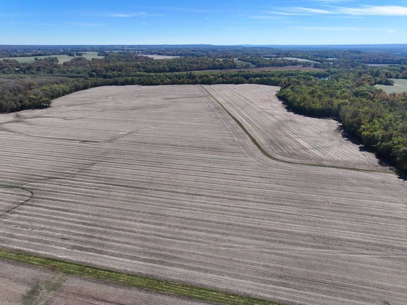 Copy of DJI_20251031124215_0741_D