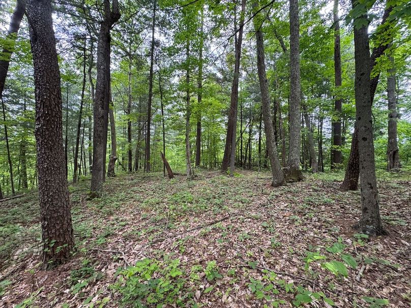 Pleasants, WV 168.59 AC Superior, Swank, Young-099