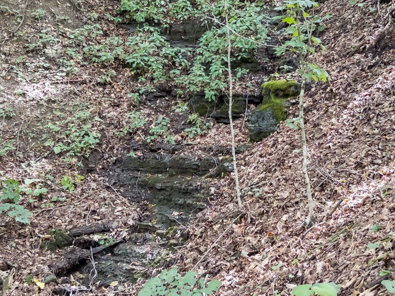 17_36.85_Pocahontas_WV