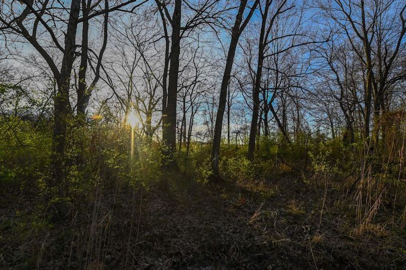 vandalia 450 (2)-2306