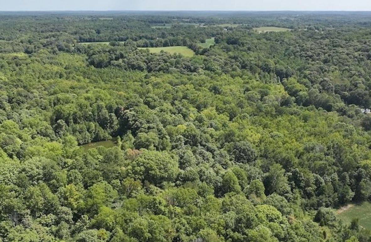 dji_fly_20240904_132624_0368_1725471196477_photo