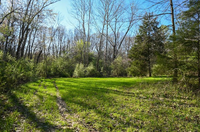 vandalia 450 (2)-2469