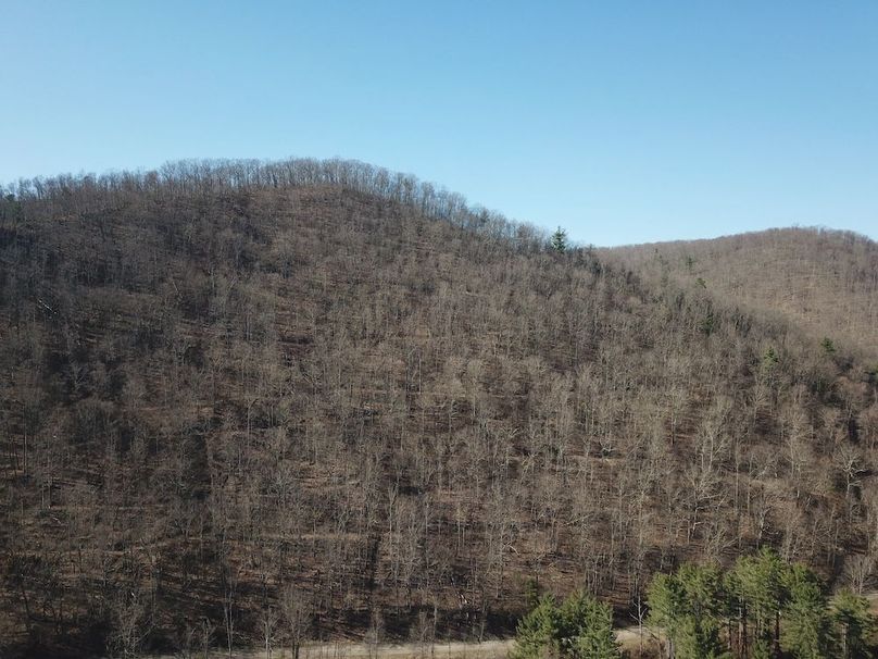 DJI_0046