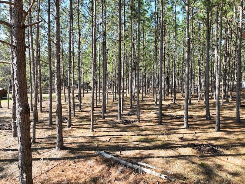 dji_fly_20240207_104322_63_1707320782676_photo