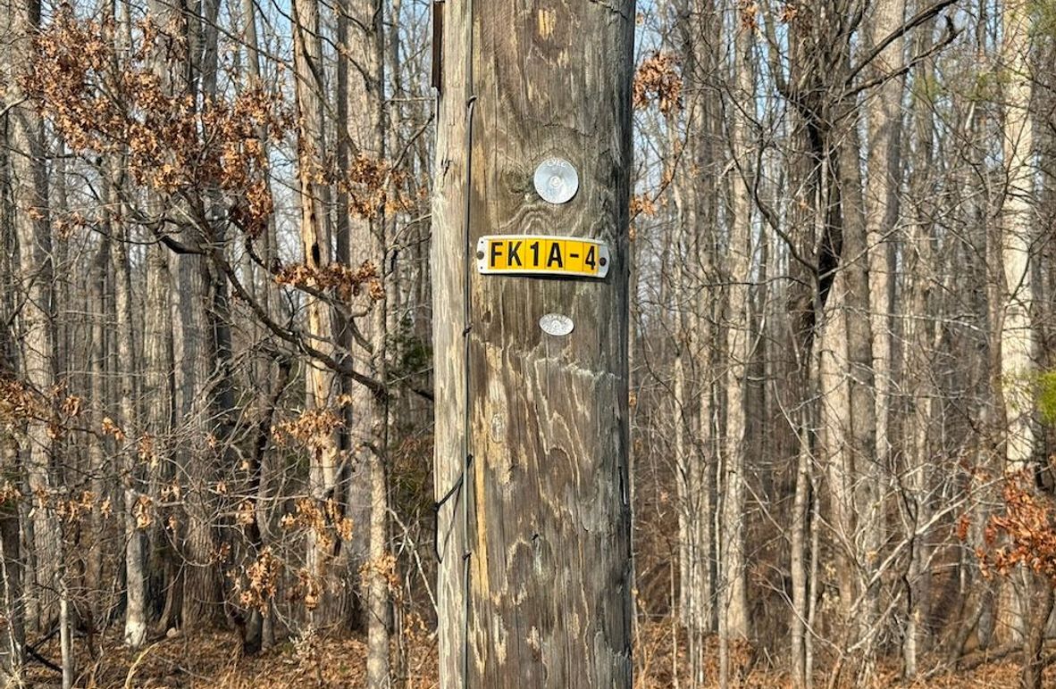 3B46A347-A610-494B-97BB-5E2F6BBA2F6A_1_102_o