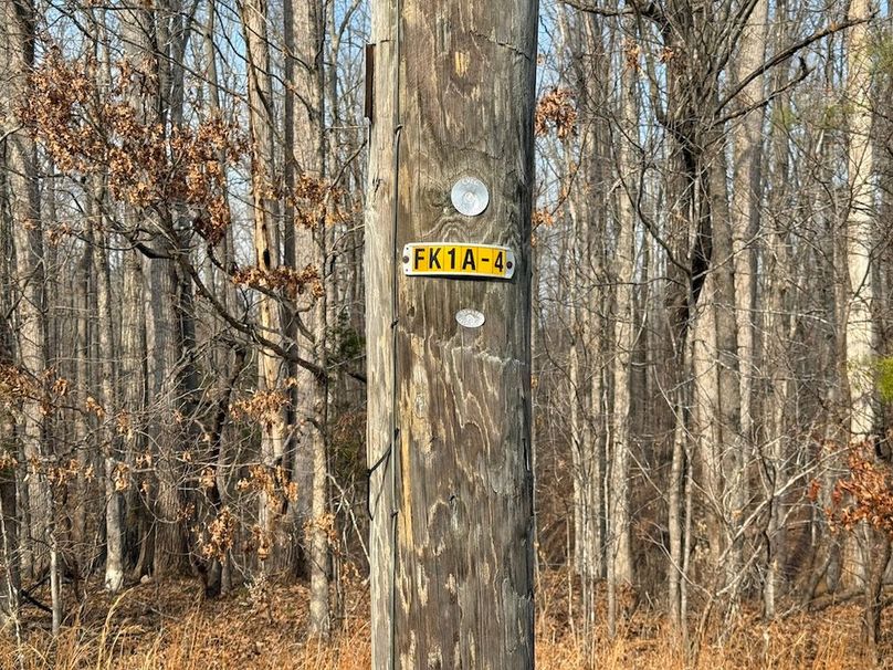 3B46A347-A610-494B-97BB-5E2F6BBA2F6A_1_102_o