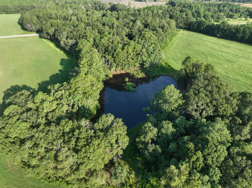 dji_fly_20230813_083520_521_1691930612449_photo