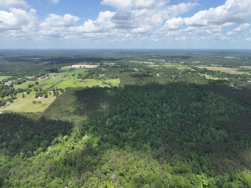 dji_fly_20260413_114800_0039_1776114934669_photo