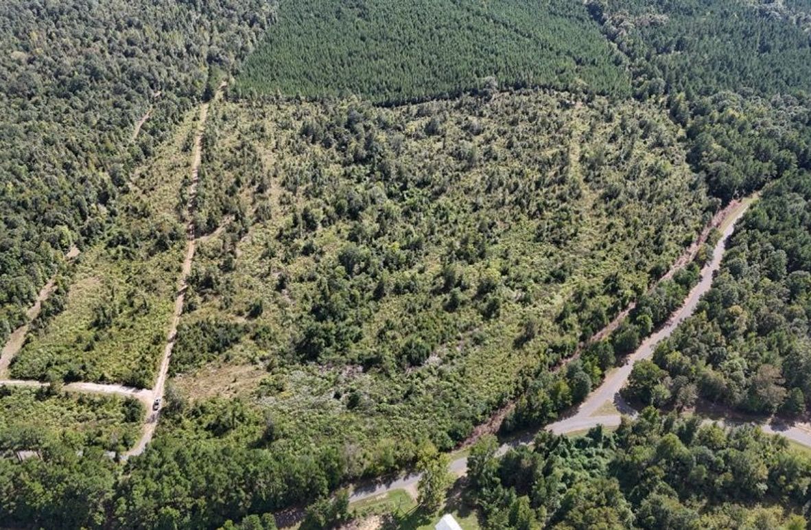 DJI_20250924035614_0749_D