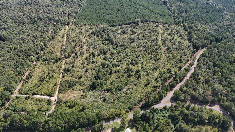 DJI_20250924035614_0749_D