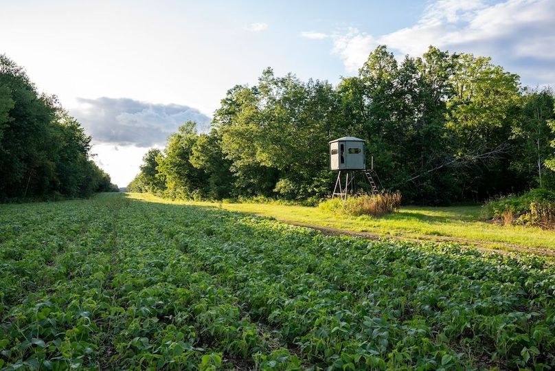 Cass MN 1095 Featured ProPhoto-9