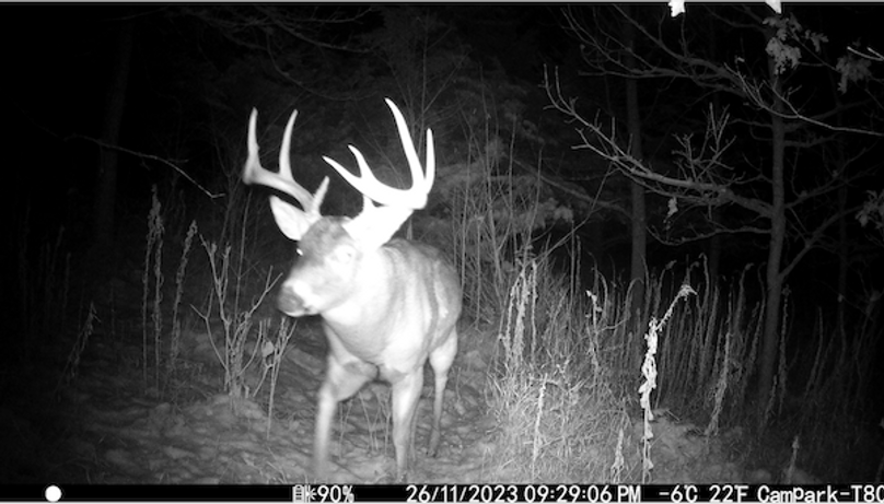 Screenshot 2024-09-04 at 2.33.15 PM