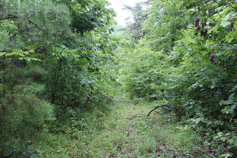 028 old road along southwest boundary
