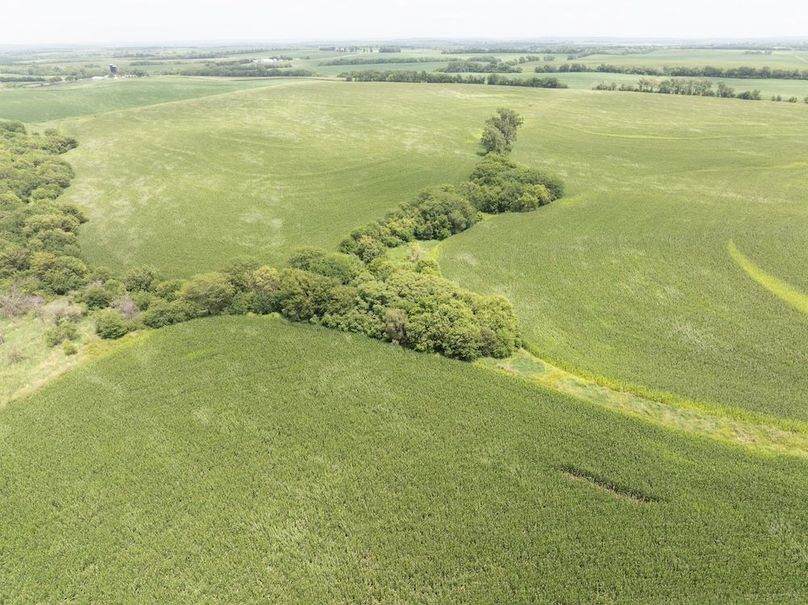 Copy of DJI_20250720135951_0096_D