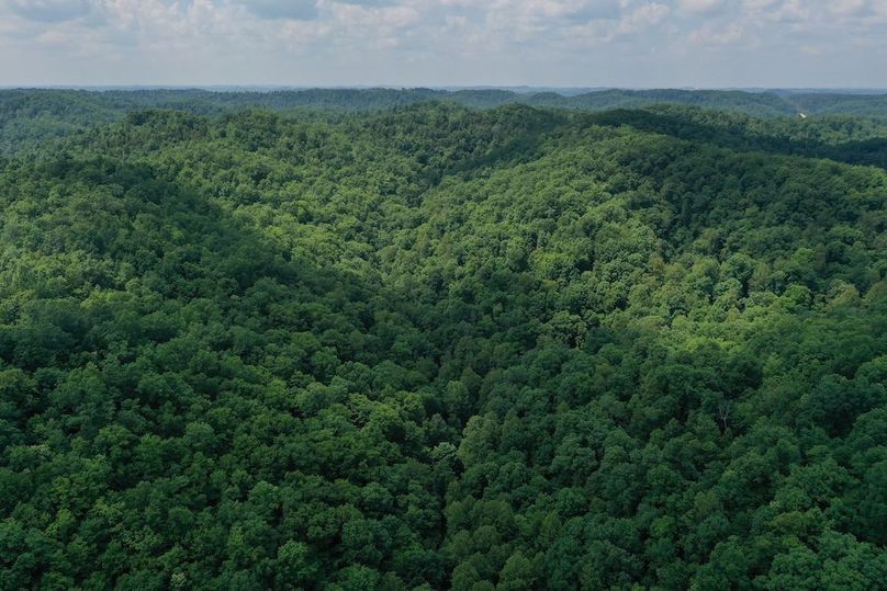 010 aerial drone shot from the east boundary looking up the valley to the west