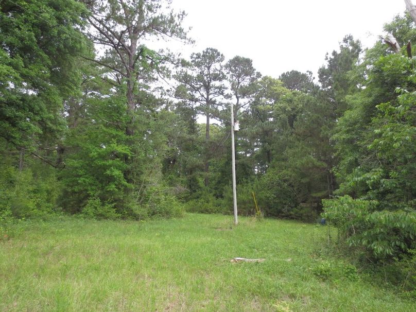 B35AB3F4-4FA0-4913-8B23-7D64CAD9A634_1_105_c