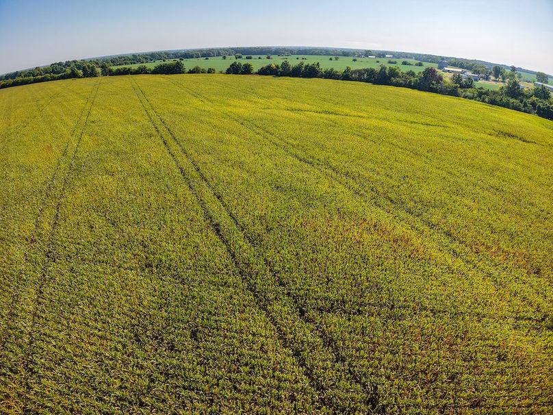 DJI_20250906095843_0053_D