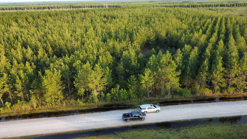 dji_fly_20230616_194600_42_1686959167302_photo_optimized