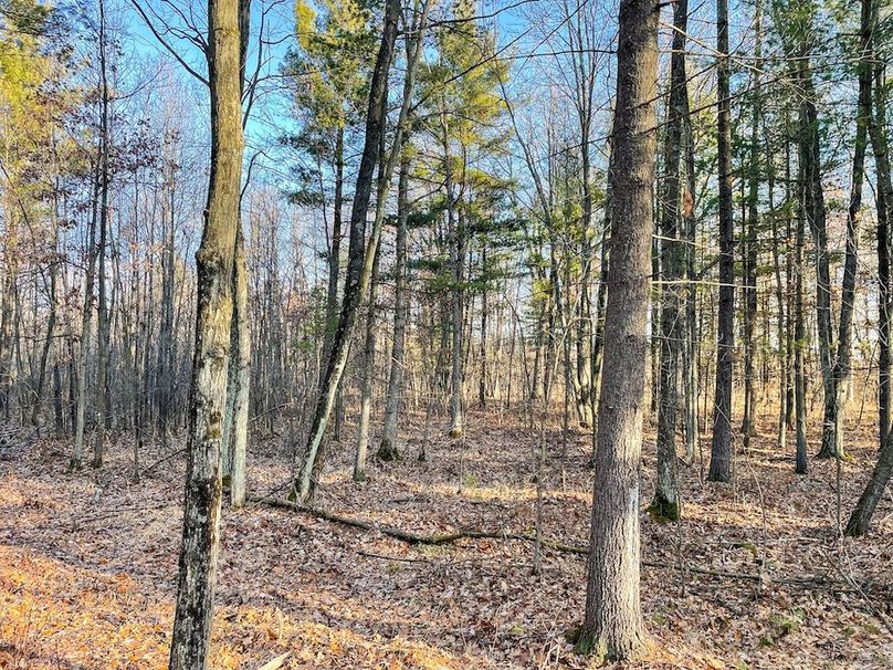 ClarK 160 WILLIAMS -25