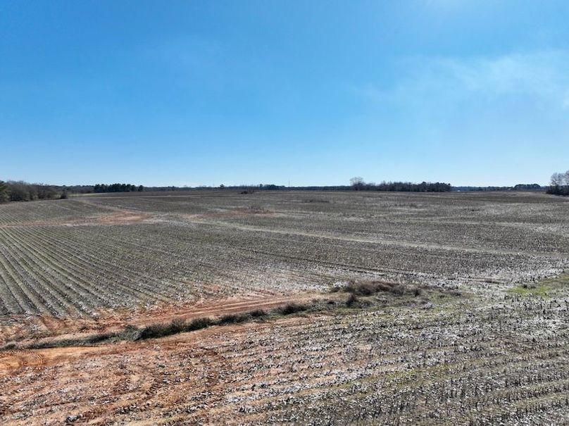 dji_fly_20260115_143834_124_1768507073161_photo